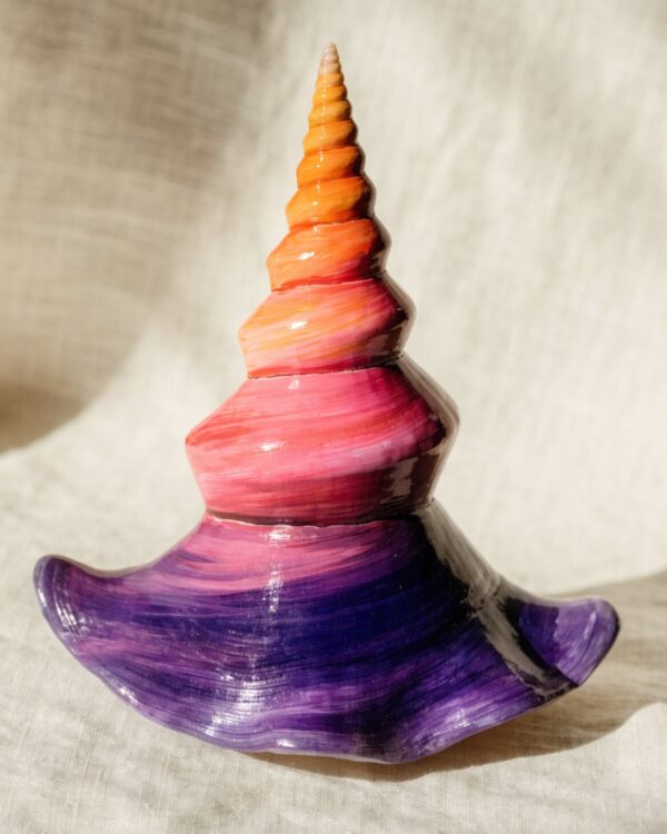 Sunset Conch