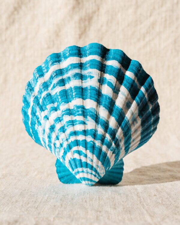 Turquoise Wave Scallop