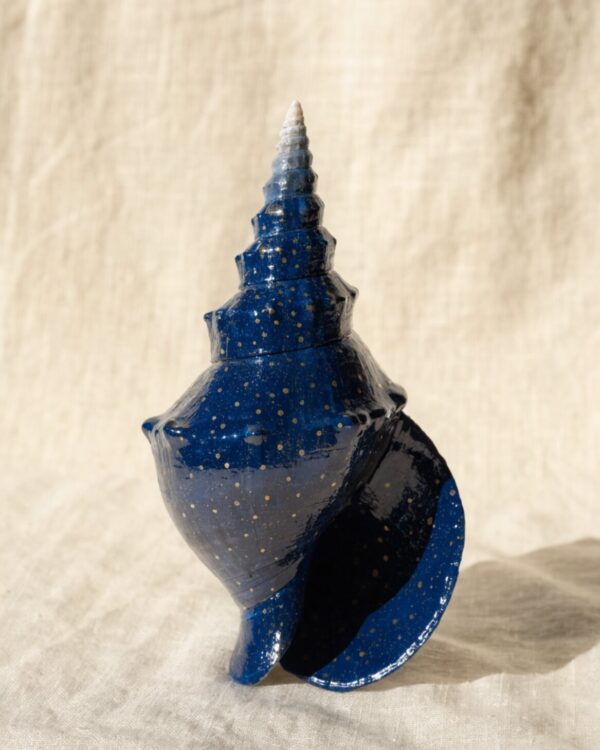 Alexandria Nights Conch