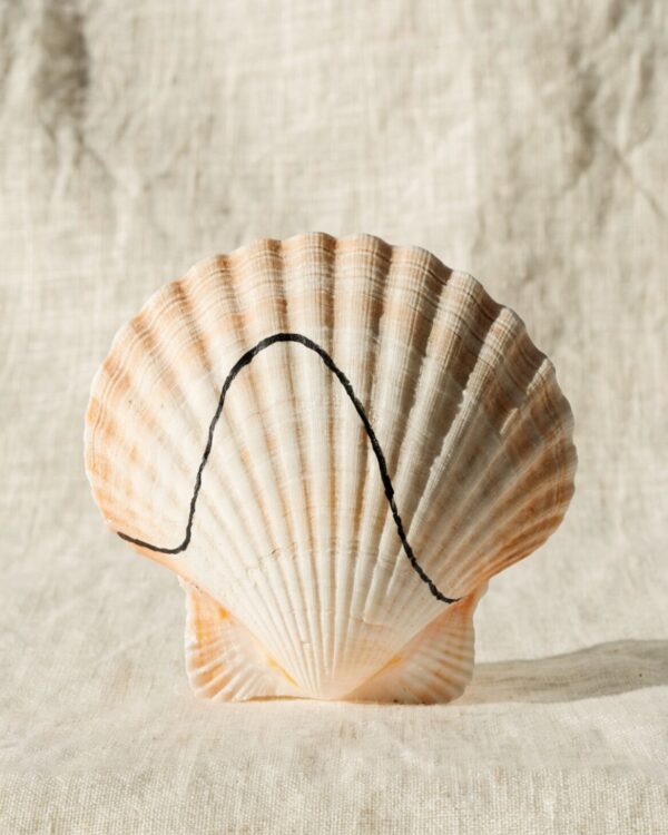 Single-Line Wave Shell