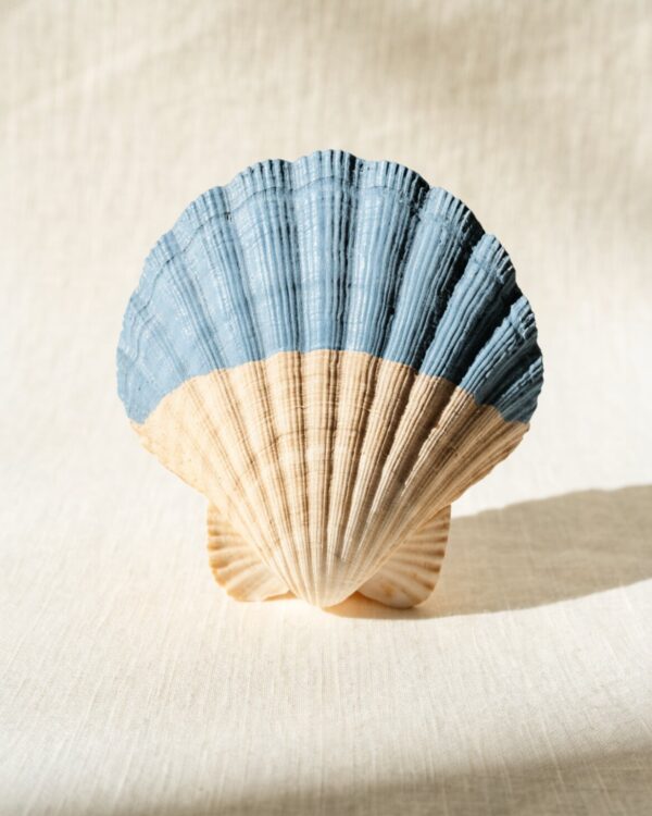 Minimalist Horizon Scallop