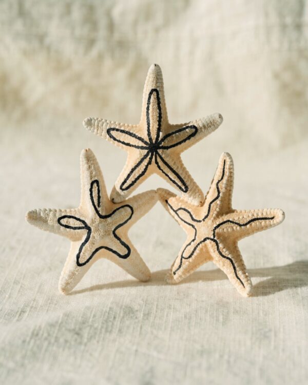 Line Art Starfish Trio