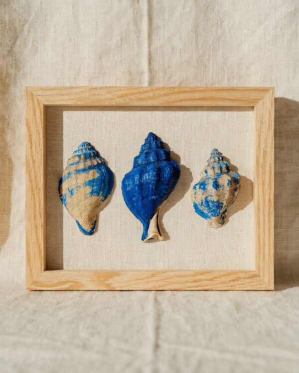 Mediterranean Shoreline Framed Set