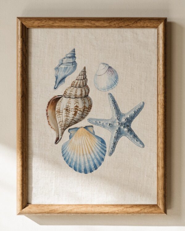 Alexandria Coast Framed Collection