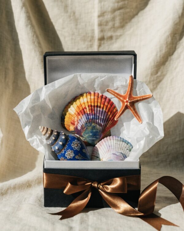 Coastal Treasures Gift Set